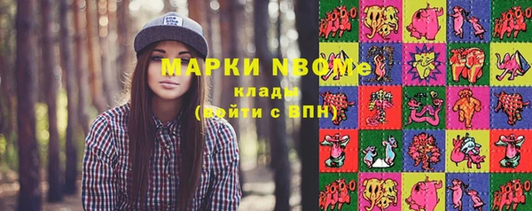 бошки Снежинск