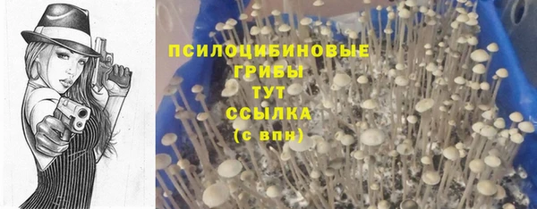 гидропоника Горно-Алтайск